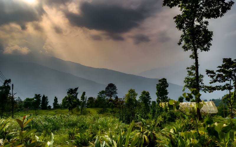 Himalayan Harmony: Darjeeling & Kalimpong Tour